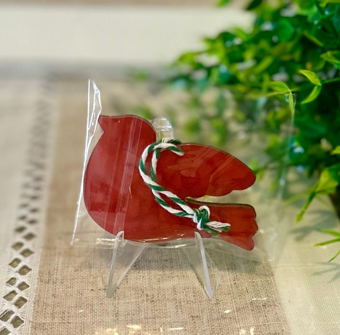 Cardenalito Night Cardenalito Mini