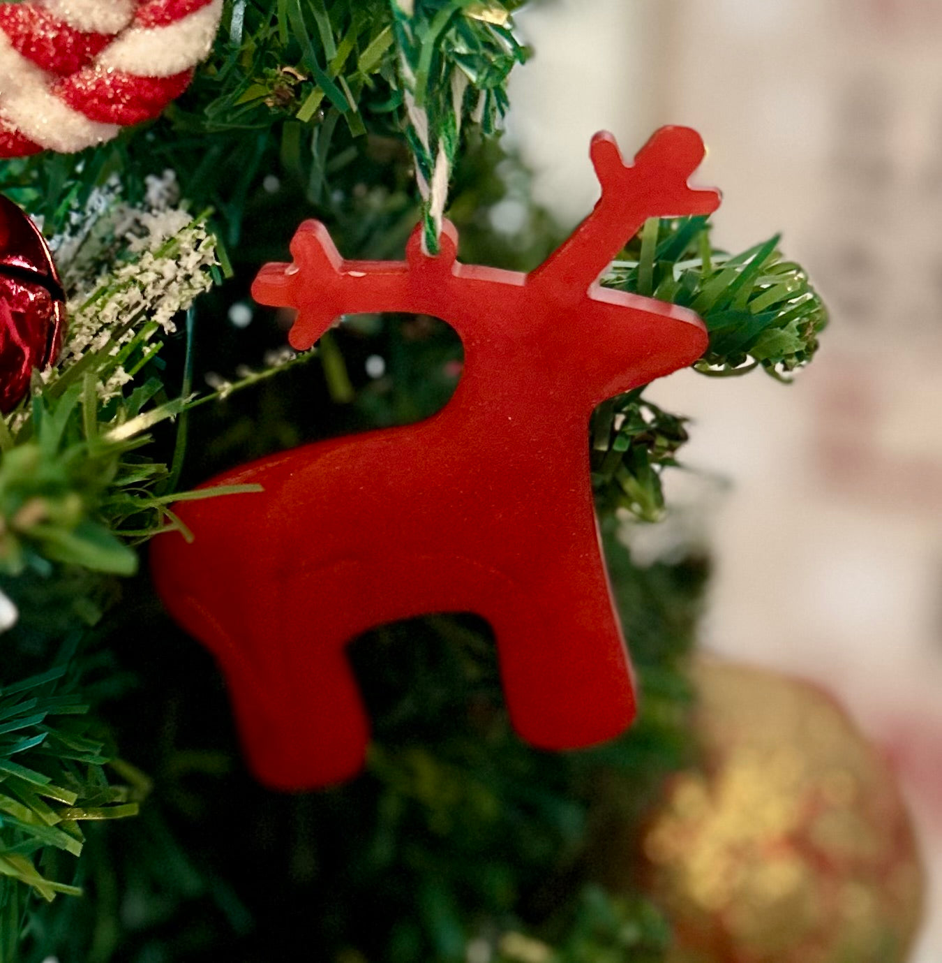 Cardenalito Gold Rudolph Mini